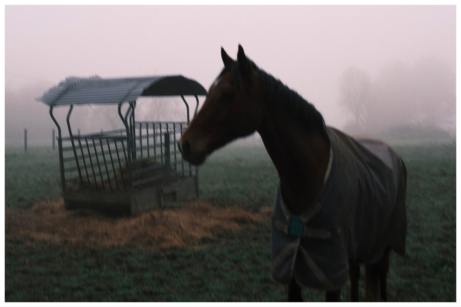 Brume