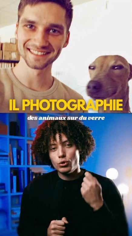 Reel Instagram : Il photographie des animaux sur du verre